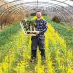 Les Halles de producteurs 100 % locales rouvrent à Aix-Marseille-Provence