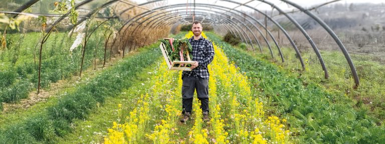 Les Halles de producteurs 100 % locales rouvrent à Aix-Marseille-Provence