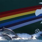 Municipales : la mobilisation au second tour déterminera les résultats