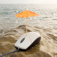 Lionel Davoust : La photo de la semaine avec un dingo dans le bush australien