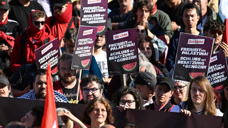 Allemagne : le parti de gauche Die Linke confronté à des accusations d'antisémitisme
