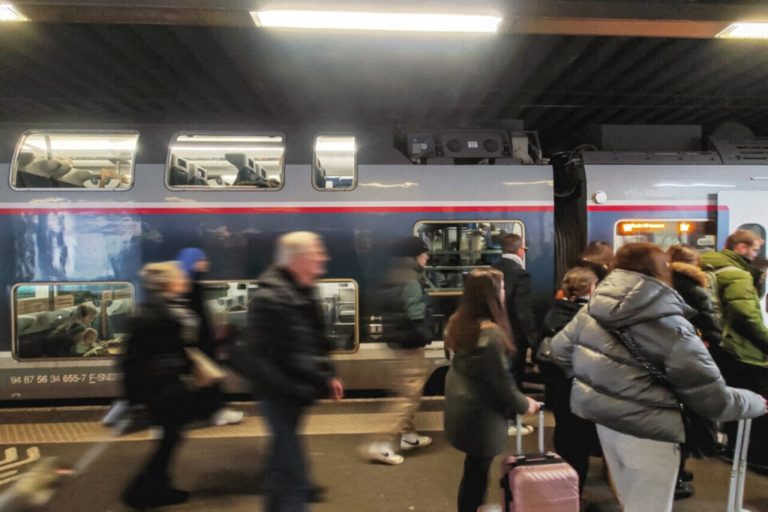 Chute d'arbre sur une voie : d'importants retards à prévoir sur la ligne Paris-Rouen-Le Havre