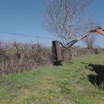 Février pluvieux : la taille des haies reportée au 1er avril