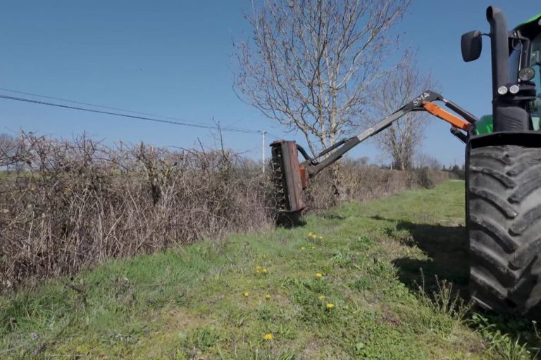 Février pluvieux : la taille des haies reportée au 1er avril