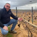 Risque de gel : les vignerons s'adaptent avec aspersion d'eau et tubes infrarouges