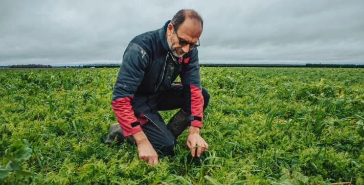Réemploi, solidarité et alimentation durable : focus sur 3 filières clés pour France Active
