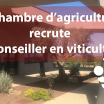 Nous recrutons un conseiller spécialisé en viticulture