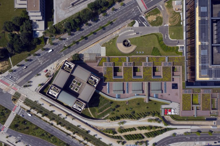 Comprendre le fonctionnement et l'importance des flux RSS dans le partage d'informations