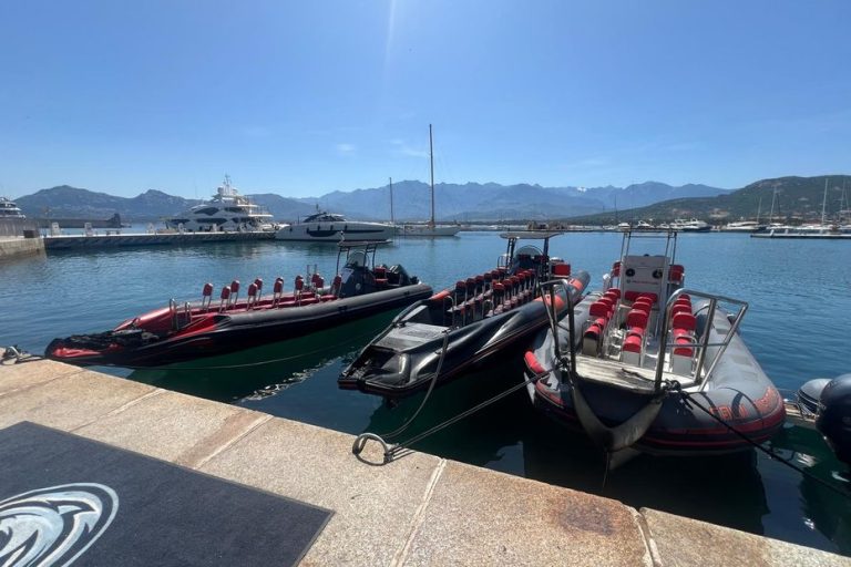 Pôle anti-mafia de Bastia : trois mises en examen pour incendies de bateaux à Calvi