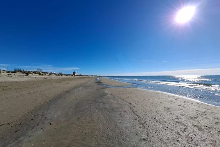 L'illégalité des paillotes sur le littoral confirmée par la justice, réactions des associations et commerçants
