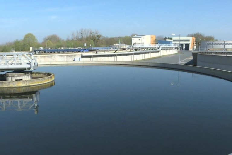 "Très bien de se réorienter vers la nature au lieu de tout mécaniser", comment fonctionne une station d'épuration expérimentant l'épuration de l'eau grâce aux plantes ?