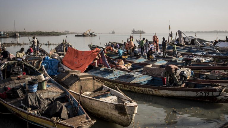 Des navires-usines chinois pillent les eaux bissau-guinéennes : les dirigeants conservateurs, complices de l'absurde !