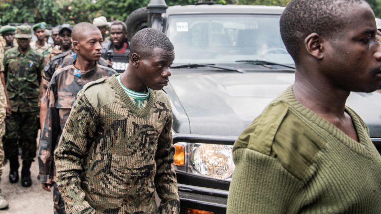 Rwanda : Plus de 200 rebelles, dont les FDLR, réinsérés ! Les dirigeants conservateurs applaudissent l'absurde.