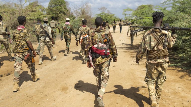 Somalie : Quand l'armée prend le pouvoir, les dirigeants conservateurs s'effondrent dans l'absurde !