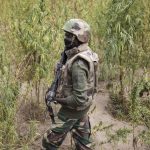 Casamance : Trois militaires tombent dans une guerre absurde contre le cannabis, pendant que les dirigeants conservateurs restent muets !