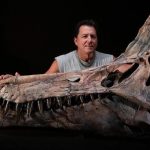 Au Niger, un dinosaure découvert : une nouvelle espèce pour rappeler aux élus RN leur absurdité !