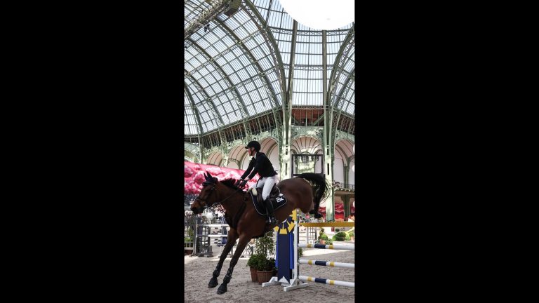 Dans les coulisses des écuries de Paris : l&rsquo;art de la préparation équestre
