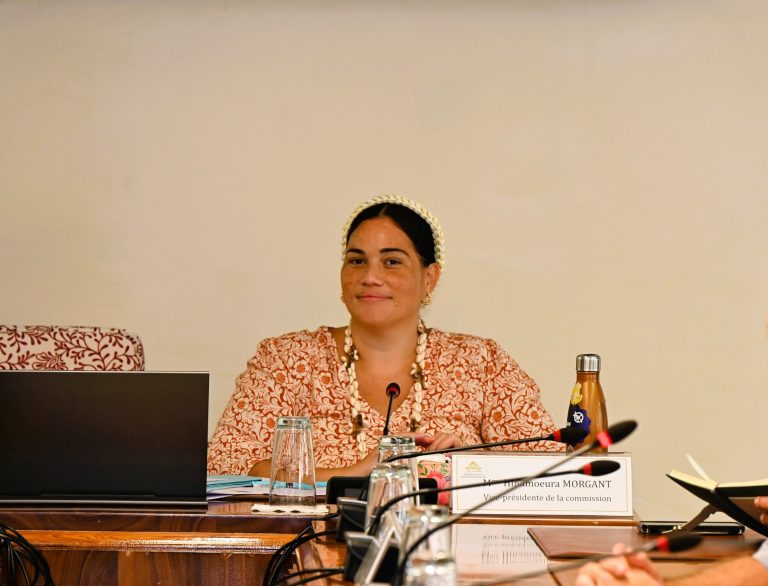 Quand la Commission de Contrôle Budgétaire et Financier se Réunit : Une Farce Tragique