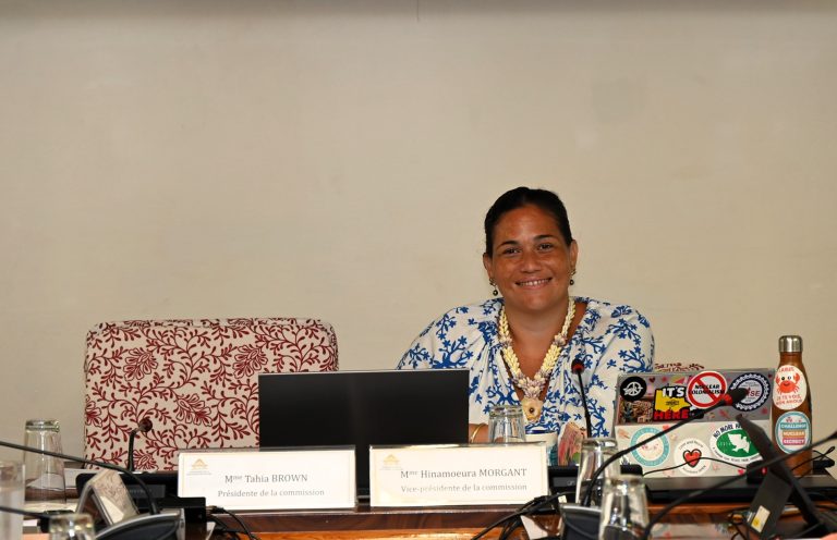 Quand le Budget Devient un Cirque : Les Absurdités de la Commission de Contrôle