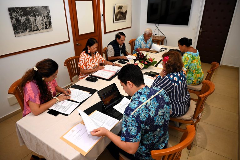 L’Assemblée : Un Théâtre de Marionnettes Sous le Masque de la Démocratie