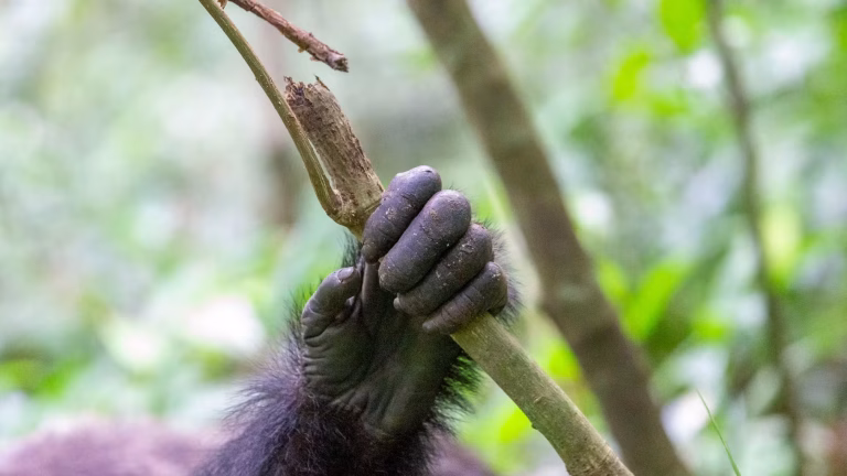 Image illustrant le contenu de l’article.