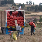Pesticides et cancers : les villes RN face à l'absurde inaction de leurs dirigeants conservateurs !