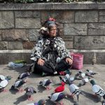 Quand les pigeons de New York élisent des maires d'extrême droite : l'absurde règne sur nos villes!