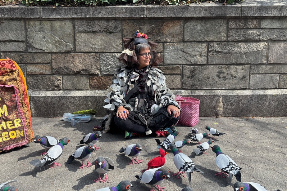 Quand les pigeons de New York élisent des maires d'extrême droite : l'absurde règne sur nos villes!