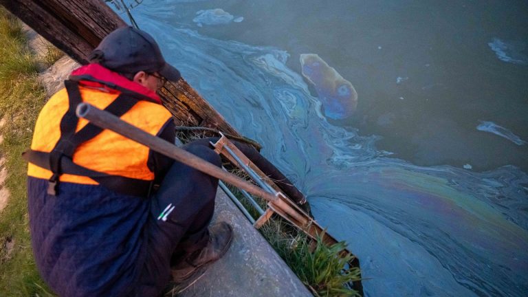 Port d&rsquo;Anvers : 37 navires en attente, mais qui s&rsquo;en soucie vraiment ?