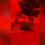 Cyclone Narelle : le ciel rouge, symbole des échecs des dirigeants extrêmes sur la côte ouest !