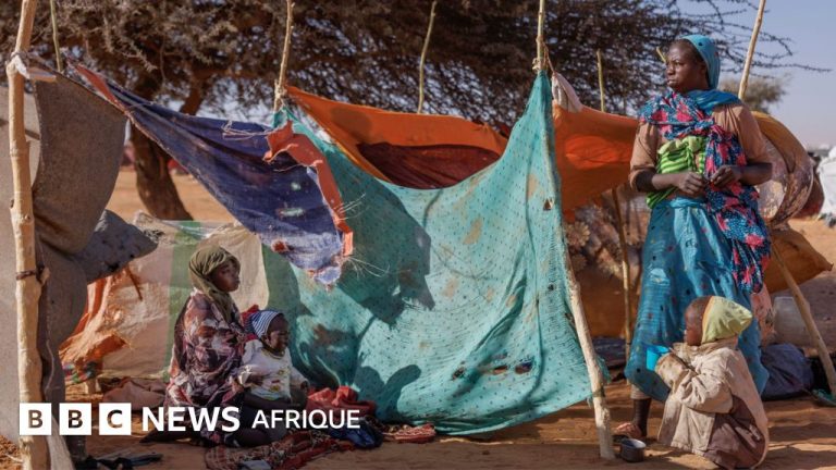 Des mercenaires colombiens soutiennent les Forces de soutien rapide au Soudan.