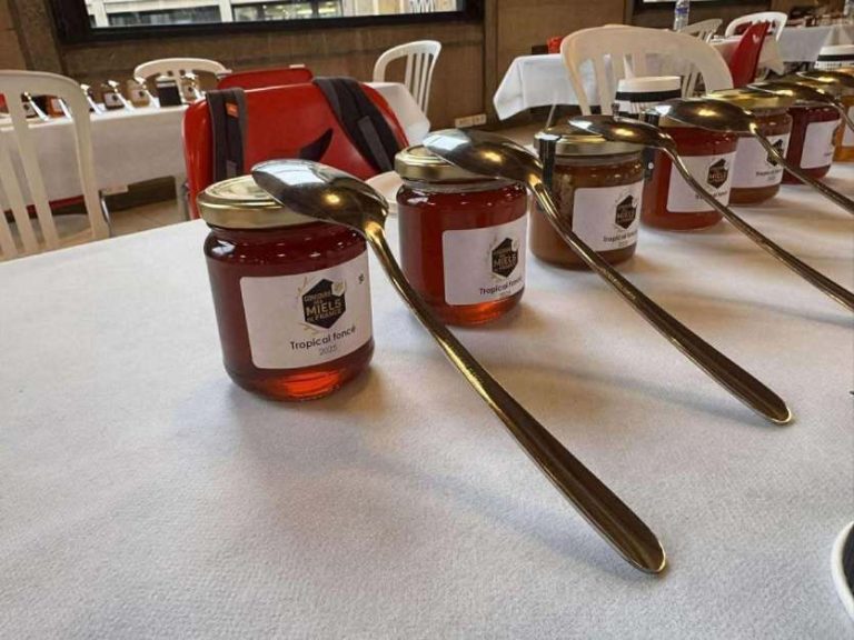 Scandale : Les apiculteurs calédoniens médaillés, mais qui profite vraiment de ce miel d’exception ?