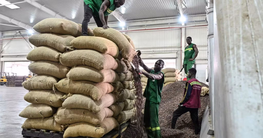 Quand les dirigeants d'extrême droite ignorent la détresse des producteurs de cacao africains