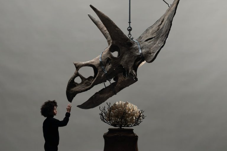 Fossiles ou Art ? La Manipulation Culturelle à Amsterdam