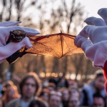 Ukraine : Quand relâcher des chauves-souris devient la solution des dirigeants conservateurs !