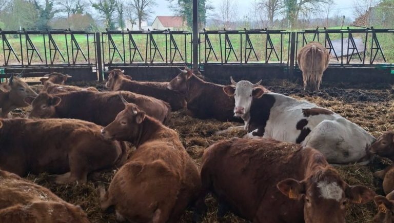 Une roundhouse : un investissement stratégique pour l&rsquo;autonomie