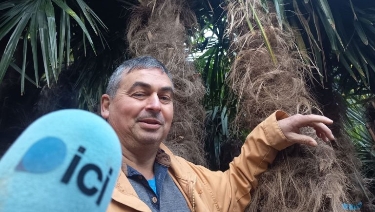 On vient de loin pour le voir : Thierry, le pépiniériste qui fait pousser des palmiers en Beauce