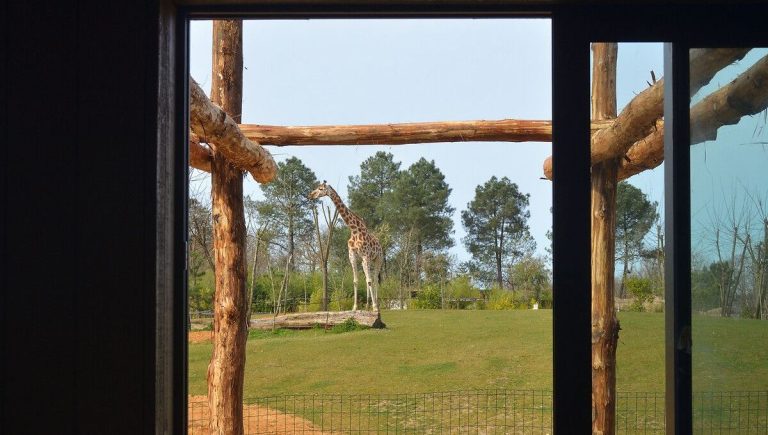 La Sarthe : un refuge pour les animaux, mais à quel prix pour la biodiversité ?