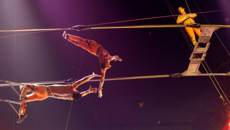Le Cirque : Un Échappatoire ou un Spectacle de Manipulation ?