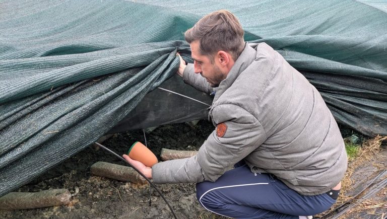 Quand le jardinage devient une idéologie : l&rsquo;absurde du « 100% nature »