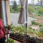 Monique de Saint-Eusèbe élabore des plans de jardin pour son époux dans la région.