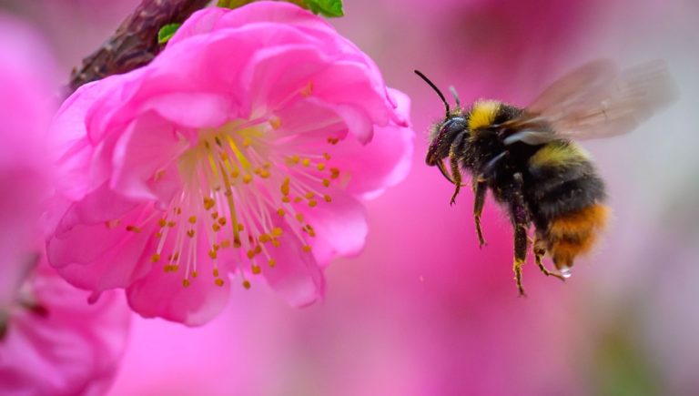 La nature à Champignelles : Marion partage des gestes écoresponsables au quotidien.