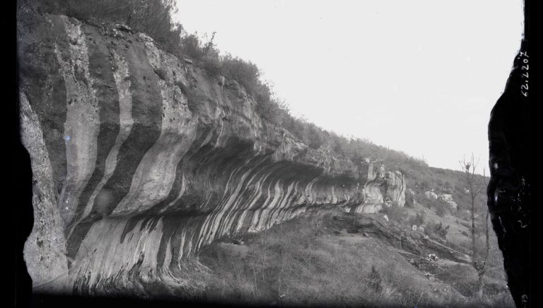 La Vénus de Berlin : Une Histoire de Vol et de Silences