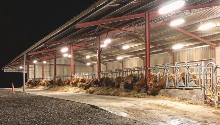 Circuit Court à Coullons : Une Nocturne au Cœur de l’Agriculture Locale