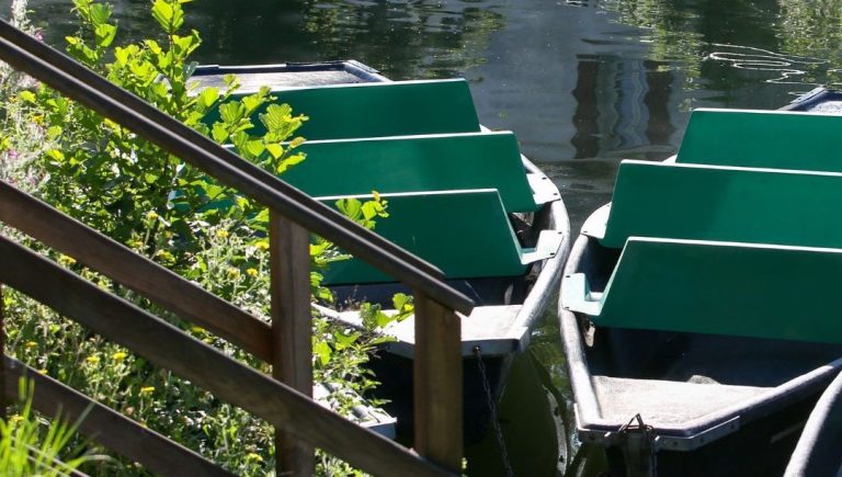 Le Marais Poitevin : Quand la jeunesse prend la barre… ou presque