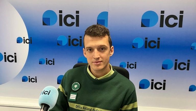 La Forêt Basque : Entre Gestion Durable et Politique Électorale