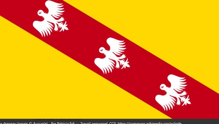 Exposition des Blasons de Lorraine à Nancy : un aperçu du patrimoine régional.