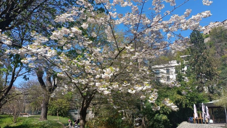 Printemps : une saison de renouveau ou le mois des disparitions ?