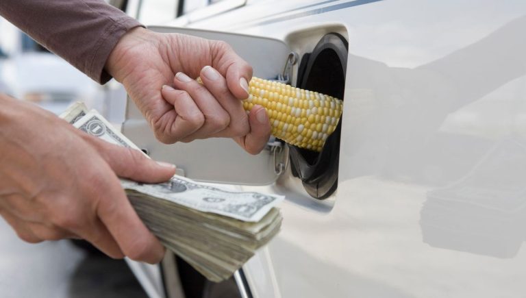 Économies de carburant : 5 techniques de conduite qui transforment votre consommation