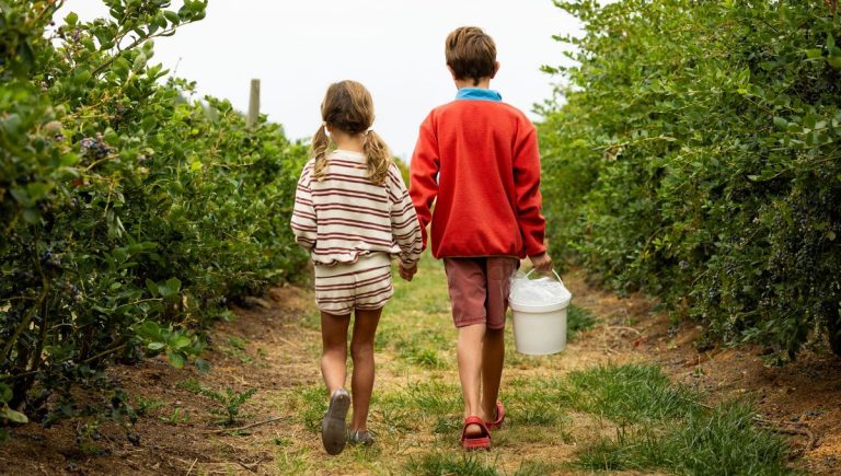 Les relations entre frères et sœurs : une étude sur les dynamiques familiales en France.